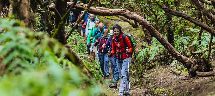 Discovering Nature Hiking Trails in Spain: Your Ultimate Guide